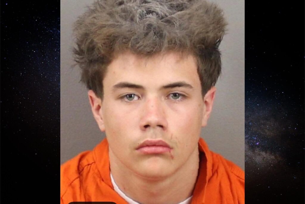 Saugerties, New York 15 year old Mark Wanchik II charged in the killing of 88 year old Elena Bonjolo Mark J. Wanchik II murder